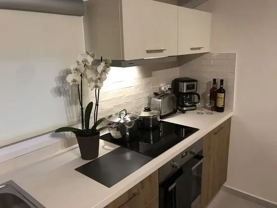 Exclusive Çatı Katı Süiti (Penthouse)