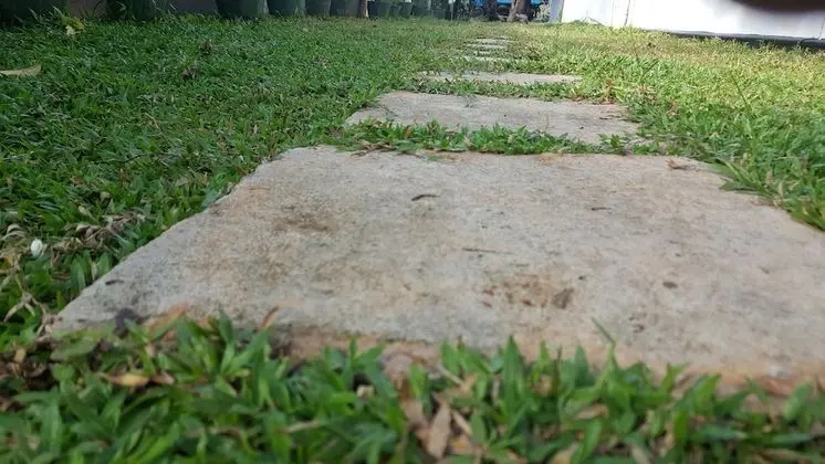 Standard Tek Büyük Yataklı Oda, 1 Yatak Odası