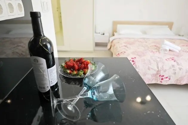 Studio Apartment Nina, City View