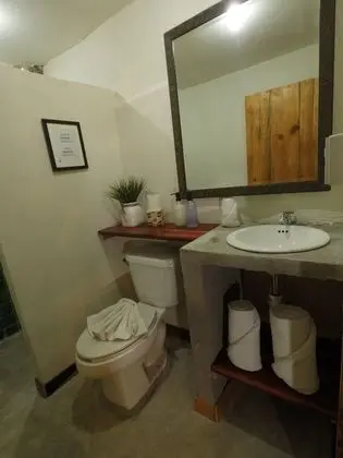 Standard Tek Büyük Yataklı Oda, 1 En Büyük (King) Boy Yatak
