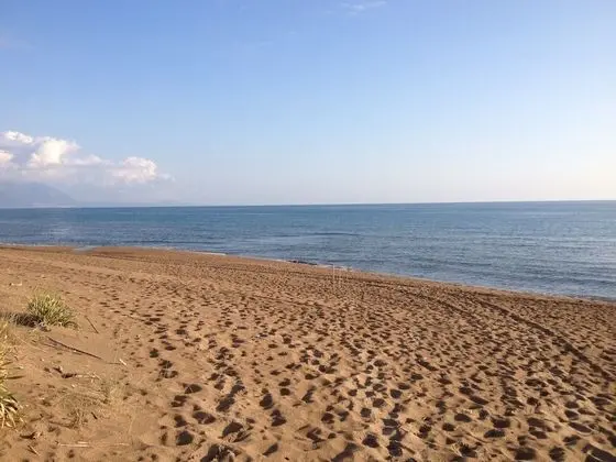 Ev, 6 Yatak Odası, Balkon