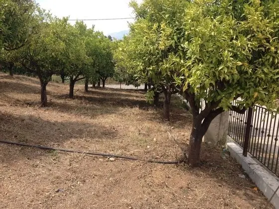 Ev, 6 Yatak Odası, Balkon