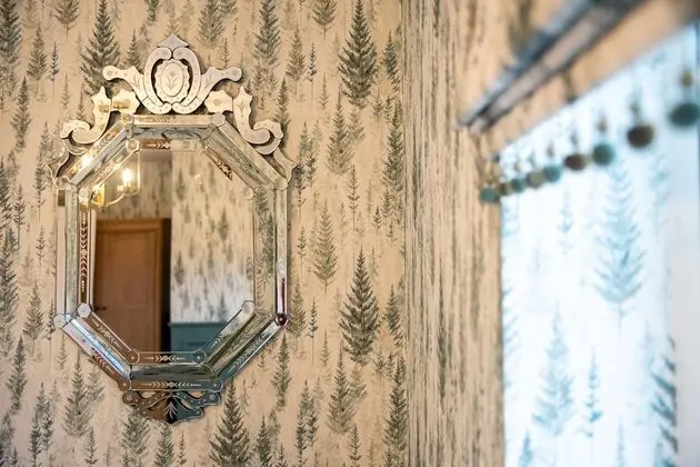 Ev, 6 Yatak Odası, Mikrodalga