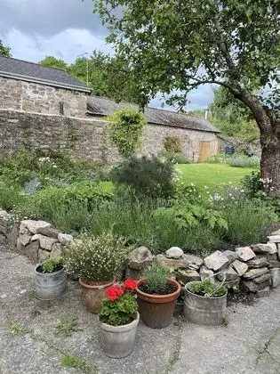 Deluxe Tek Büyük Yataklı Oda, Banyolu/Duşlu, Avlu Manzaralı (Protea Suite)