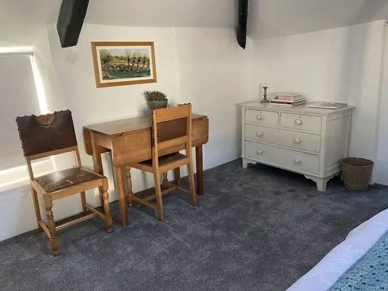 Deluxe Tek Büyük Yataklı Oda, Banyolu/Duşlu, Avlu Manzaralı (Protea Suite)