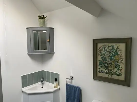 Tek Büyük Yataklı Oda, Özel Banyo, Bahçe Manzaralı (Disa Suite)