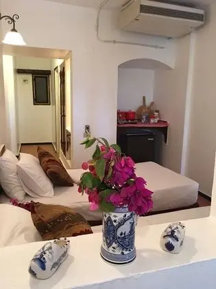 Standard Tek Kişilik Oda, 1 Yatak Odası, Bahçe Manzaralı