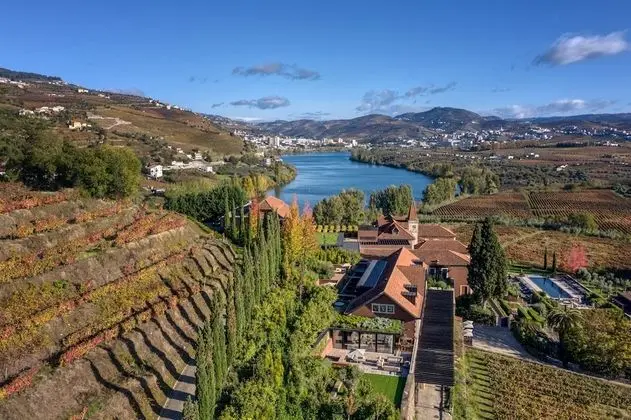 Vineyard Suite