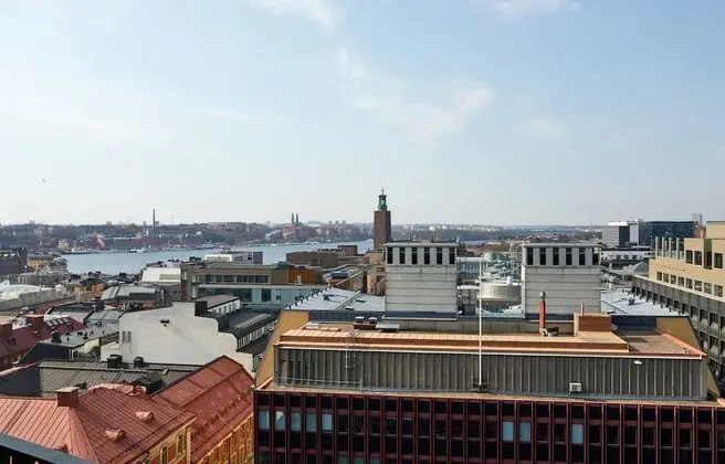 Süit