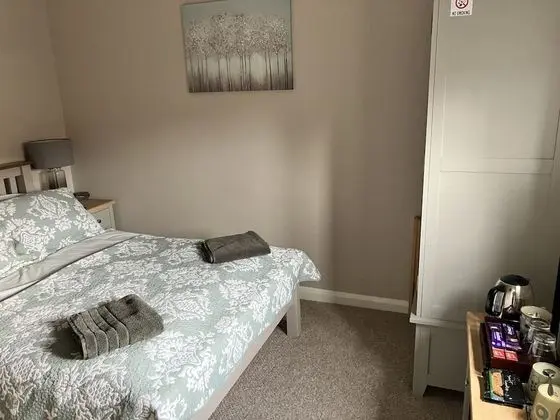 Deluxe Tek Büyük Yataklı Oda, Banyolu/Duşlu, Bahçe Manzaralı