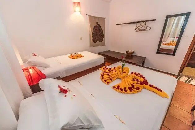 Deluxe İki Ayrı Yataklı Oda (free airport pick & 60' body massage)