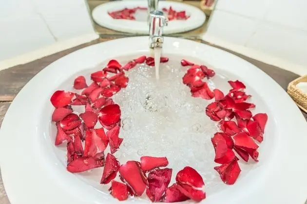 Deluxe İki Ayrı Yataklı Oda (free airport pick & 60' body massage)