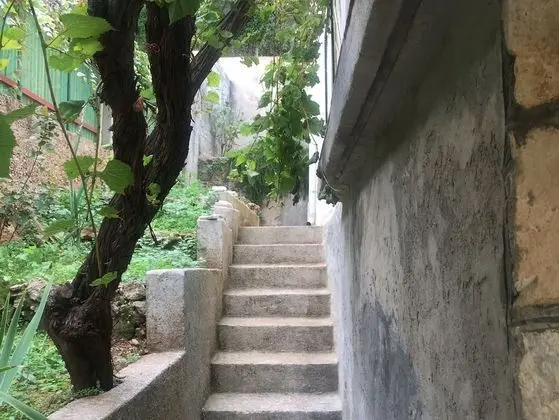 Apart Daire (Sjajna - garden - A1(8))