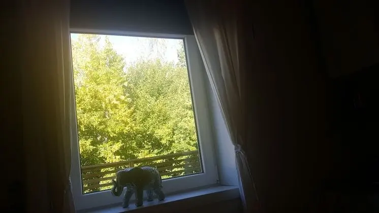 Deluxe İki Ayrı Yataklı Oda