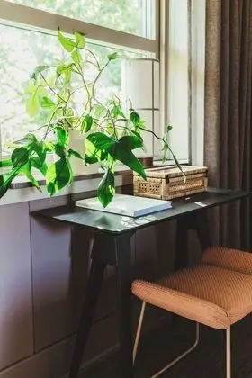 Standard Tek Büyük Yataklı Oda (Nya)