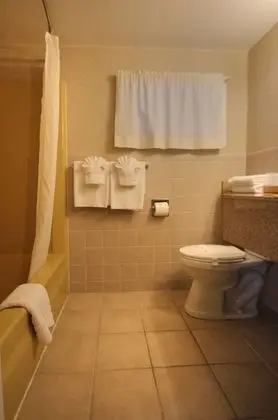 Apart Daire, 1 En Büyük (King) Boy Yatak ve Çekyat