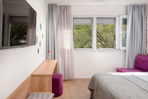 Deluxe Tek Büyük veya İki Ayrı Yataklı Oda, Bahçe Manzaralı (with Sofa Bed)