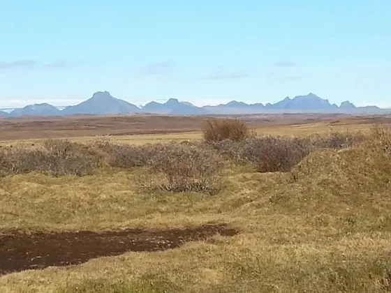 Dört Kişilik Oda, Ortak Banyo