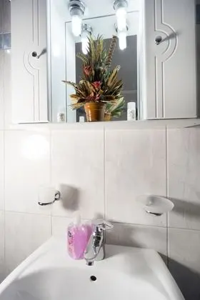 Apart Daire, 1 Yatak Odası, Bahçe Manzaralı (Semi basement)