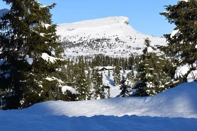 Traditional Kulübe (Liaraket 32)