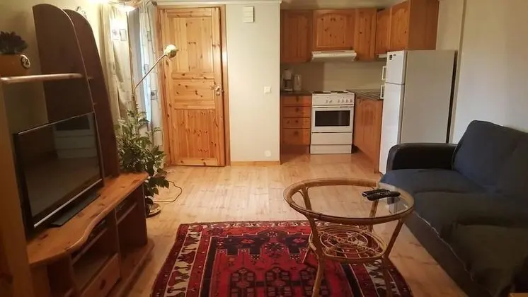 Apart Daire, 1 Yatak Odası
