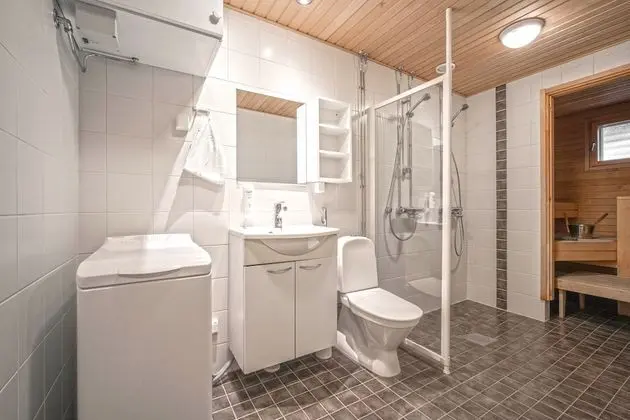 MastonAitio 60, Sauna