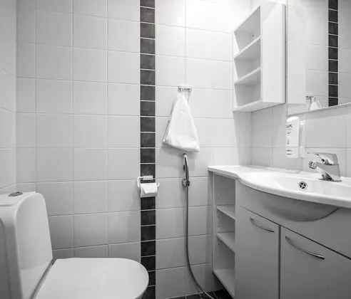 MastonAitio 60, Sauna