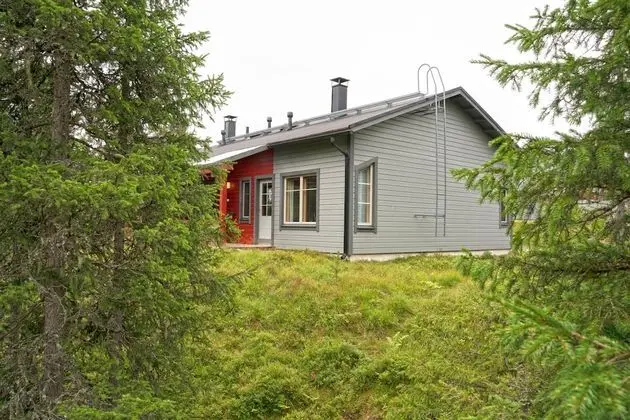 Mastonaitio80, Sauna