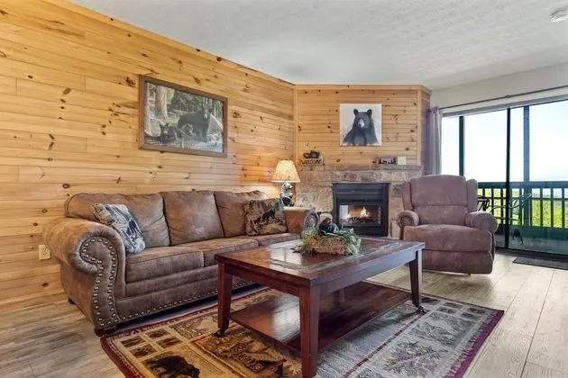 Daire (Ski View Mountain Resort 305)