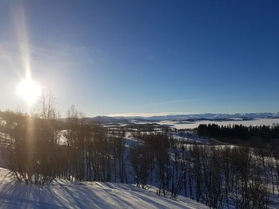 Standard Tek Büyük veya İki Ayrı Yataklı Oda, 2 Tek Kişilik Yatak