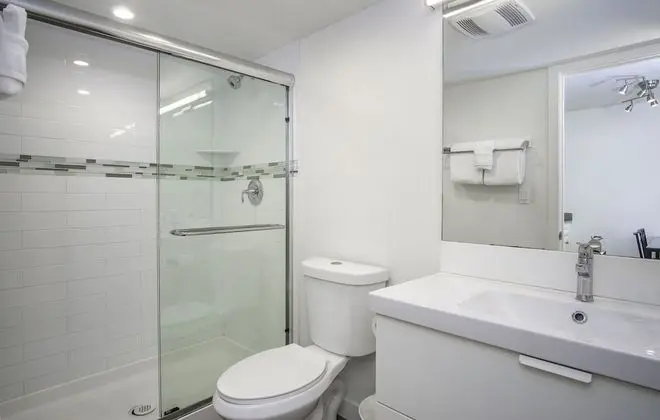Süit