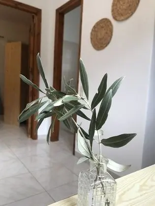 Basic Tek Büyük veya İki Ayrı Yataklı Oda
