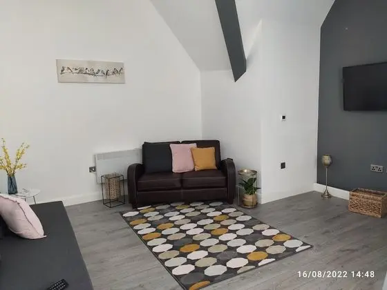 Apart Daire, Özel Banyo, Şehir Manzaralı (Sky 1)