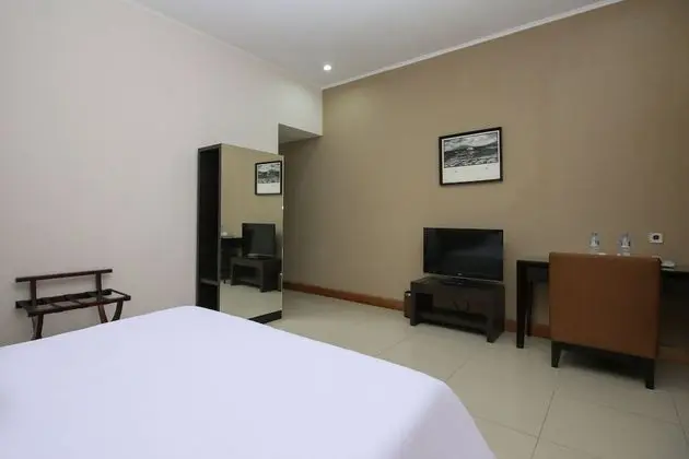 Deluxe Tek Büyük Yataklı Oda