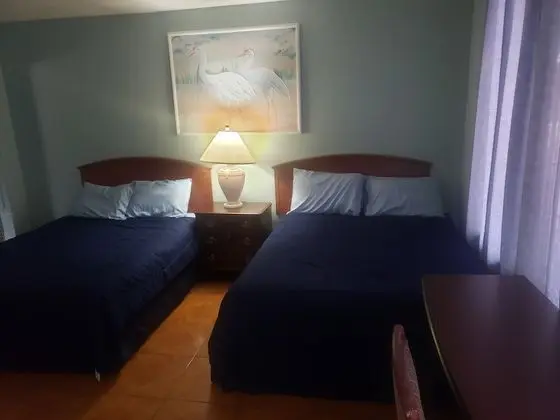 Comfort Tek Büyük Yataklı Oda, 2 Büyük (Queen) Boy Yatak, Havuz Manzaralı