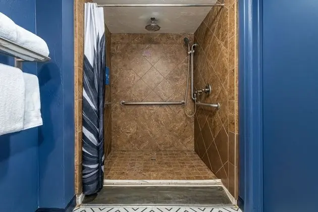 Oda, 1 En Büyük (King) Boy Yatak (Mobility Accessible, Roll-In Shower)