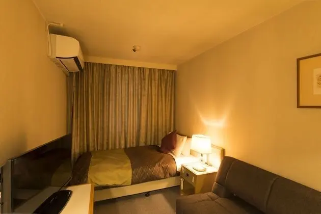 Tek Kişilik Oda, Sigara İçilmez (with Sofa Bed)