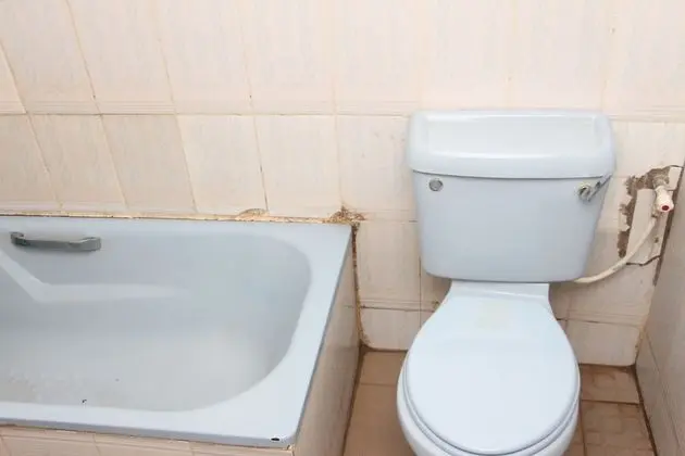 Superior Oda, 1 Büyük (Queen) Boy Yatak, Sigara İçilmez, Havuz Manzaralı