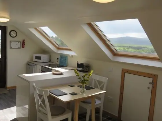Apart Daire, 1 Yatak Odası (Skye Loft)