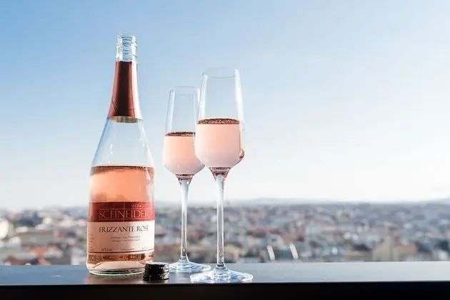 South View, Rooftop Apartment