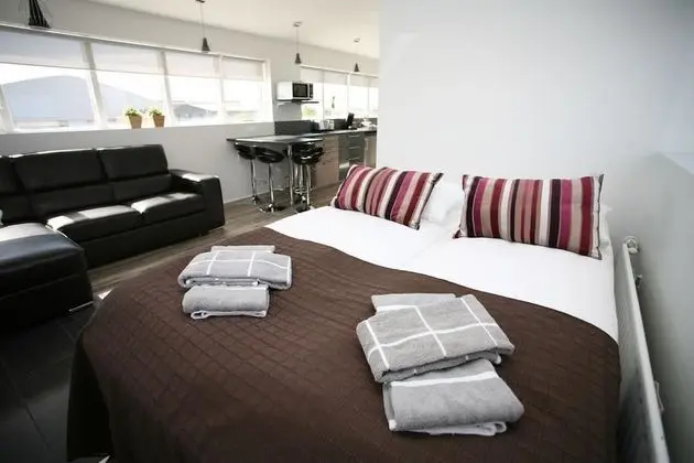 Deluxe Apart Daire, 1 Yatak Odası
