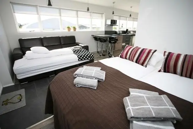 Deluxe Apart Daire, 1 Yatak Odası
