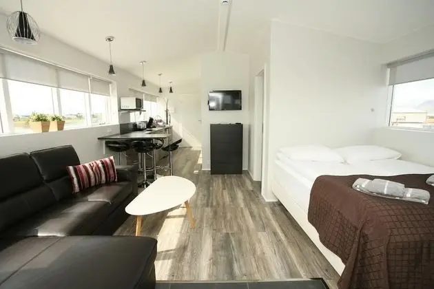 Deluxe Apart Daire, 1 Yatak Odası