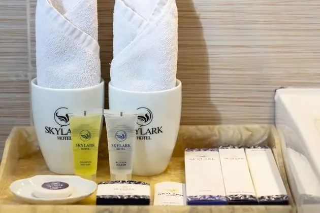 Superior Tek Büyük veya İki Ayrı Yataklı Oda