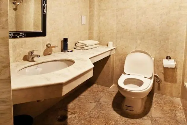 Superior Tek Büyük veya İki Ayrı Yataklı Oda, 1 Yatak Odası, Sigara İçilebilir, Şehir Manzaralı