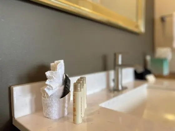 Tek Kişilik Oda, 1 Büyük (Queen) Boy Yatak, Dağ Manzaralı