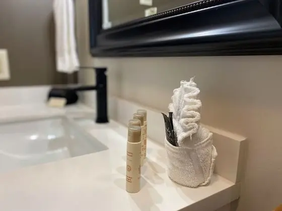 Tek Kişilik Oda, 1 Yatak Odası, Engellilere Uygun, Vadi Manzaralı