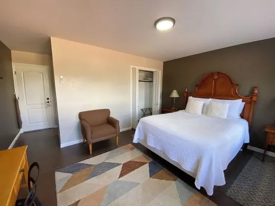 Tek Kişilik Oda, Engellilere Uygun, Zemin Kat