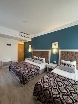 Standart Oda, Dağ Manzaralı, Balkonlu veya Fransız Balkonlu
