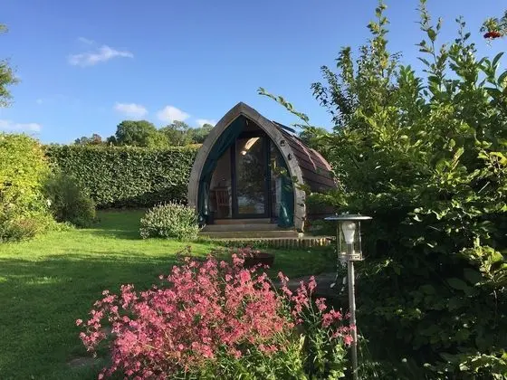 Oda, Özel Banyo (Daisy Pod)